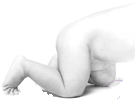 feet